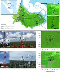 Solid group indonesia bergerak dibidang retail &. Conservation Slows Down Emission Increase From A Tropical Peatland In Indonesia Nature Geoscience