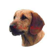 Image result for štýrský brakýř