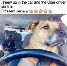 Image result wey dey for 5 stars meme