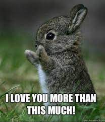 The 40 Best I Love You Memes That Are Cute Funny Romantic All At The Same Time Love You Funny Love You More Meme Love You Meme