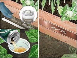 How to keep critters out of your garden. 3 Ways To Keep Animals Out Of Your Vegetable Garden Wikihow