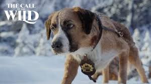 Who are the characters in call of the wild? Everything You Need To Know About The Call Of The Wild Movie 2020