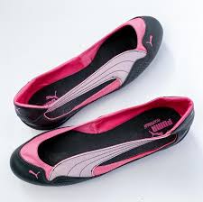 Image result for Vitro 2002 Puma