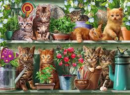 Animals cats, an online jigsaw puzzle with thousands of beautiful pictures and puzzle cuts. Ravensburger Jigsaw Puzzles Cats On The Shelf 500pc At The Jigsaw Puzzle Shop