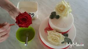 Man kann nicht nur einmachen und einkochen sondern auch dörren, in öl einlegen, einsalzen und in alkohol einlegen. Tortendeko Konditor Tipp Rosen Zuckern Kandieren Valentinstag Muttertag Hochzeit Torte Youtube