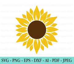 Sunflower Svg Flower Svg Digital Download Clipart Distressed Sunflower Svg File Cricut Png Dx Flower Svg Clip Art Sunflower Clipart