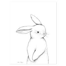 Petit lapin sur les pattes arrières. Affiche Bebe Lapin De Face Made In France Dessin Lapin Affiches Bebe Illustration De Lapin
