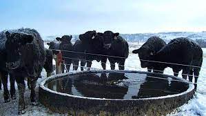 The most popular ones were considered. Giant Water Tanks From Tires Stay Durable Freeze Resistant In Cold Winters New Products Agupdate Com