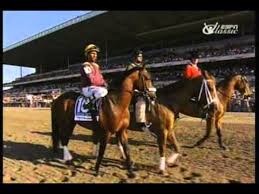 2009 belmont stakes summer bird