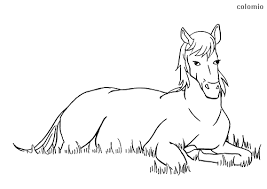 We have selected the best free horses coloring pages to print out and color. Horses Coloring Pages Free Printable Horse Coloring Sheets