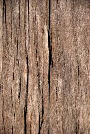 As designers, we often find ourselves needing a specific background, graphic, font, icon, etc. Free Old Wood Texture 4 Stock Photo Freeimages Com