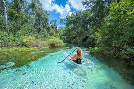 Blue spring in orange city spews 104 million gallons of pure, fresh water every day. 8 Best Parks In Orlando To Relax At And Take In Nature