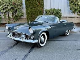 Image result for Navajo Gray 1956 Thunderbird