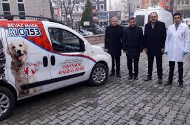 Sinop Ta Hayvan Ambulansi Hizmete Girdi Sinop Haberleri
