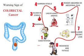 However, female dogs can be affected, although cushing's disease should also be ruled out. 4 Ways To Prevent The Risk Of Colorectal Cancer