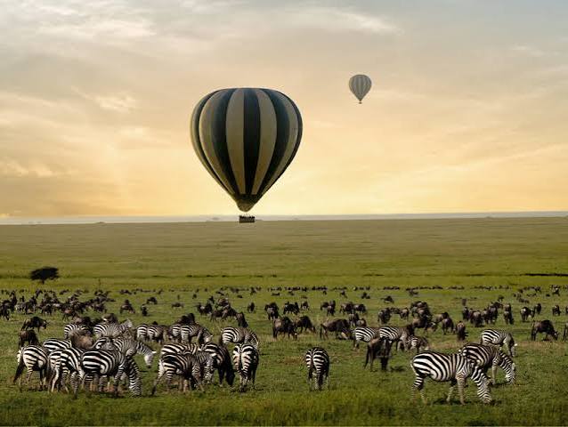 African wildlife landscape for a Tanzania safari