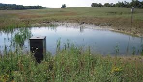 You can use duck ponds on your property for many purposes, from hunting to conservation to providing water supply for firemen. Build A Pond With Ducks And Other Wildlife In Mind Hobby Farms