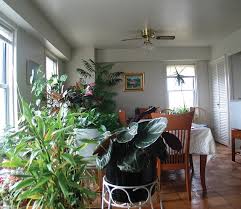 22 apartments for rent in elizabeth, nj. Fairmount Towers Apartments For Rent In Elizabeth Nj 250 Rewards