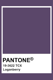 Pantone Loganberry Pantone Colour Palettes Pantone Color Flat Color Palette