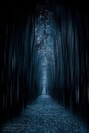 Wowtastic Nature The Dark Way In By Gregory Boratyn On 500px Com Original Size Height 1200px Width Fantasy Landscape Dark Photography Nature Photography