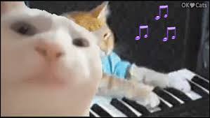 Funny Minette Vibing To Keyboard Cat Vibing Cat No 31 Cat Gif Site