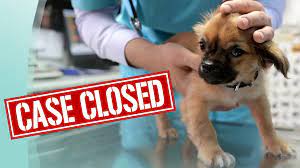 Petfinder has helped more than 25 million pets find their families through adoption. Your Animal Is Sick Was It Something They Ate Vet Lirn May Be Able To Help Fda