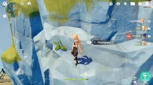 The violet is blue guide 1.talk to violet at taverley side of white wolf mountain and follow her into the land of snow. Genshin Impact How To Find Violetgrass In The Game