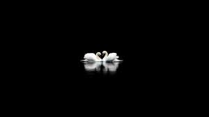 Macox, linux, windows, android, ios and many others. 73 Black And White 1080p