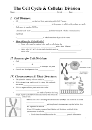 Learn cell cycle multiple choice questions and answers the time in cell cycle when the metabolic activity of cell is high is classified as multiple choice questions (mcq) on introduction to. The Cell Cycle Review Worksheet