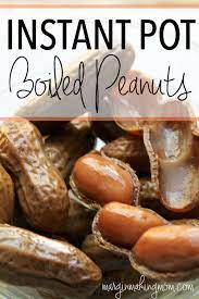 How To Make Instant Pot Boiled Peanuts Margin Making Mom Recipe Peanut Recipes Instant Pot Recipes Boil Peanuts Recipe