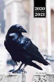 Crow calendar 2021 — city crows wall calendar with crow photography by june hunter and crow stories for every month. Raven Crow Corvus Bird Watching Week Planner Weekly Organizer Calendar 2020 2021 In The City Cute Wildlife Animal Pet Bullet Journal Notebook Diary In 6 X 9 Inch Pocket Size