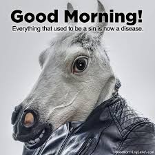 Good morning, i just wanted to say that whatever happens today we will get through it. Make Your Friends And Family Laugh With Good Morning Funny Images Good Morning Images Quotes Wishes Messages Greetings Ecards