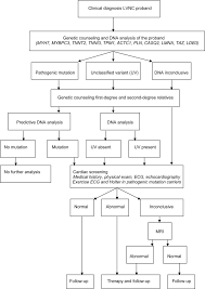 Flow Chart For Lvnc Family Screening Download Scientific