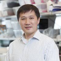 Center for Hematologic Malignancies: Faculty