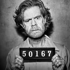 Debose Diamond Kennels