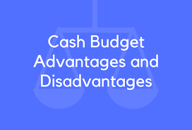 15 Cash Budget Advantages And Disadvantages Brandongaille Com
