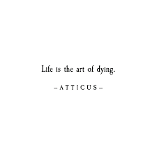 Pin On Wise Words