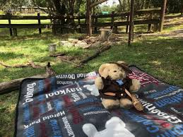 Shop picnic blankets & picnic rugs at b&m stores. The Best Tambo Teddy Product Picnic Rugs With A Pvc Backing