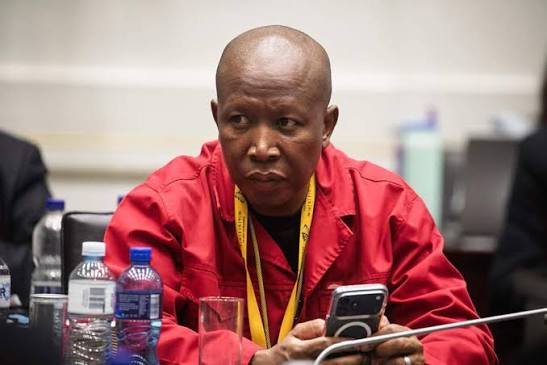 Malema denies plot with Khan, but remains silent on getting VBS accuser details | News24