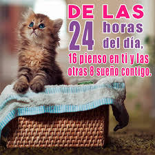 We did not find results for: 45 Imagenes De Gatitos Tiernos Con Frases Y Mensajes Bonitos Informacion Imagenes