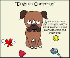 Dogs Vs Cats On Christmas