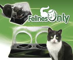 If your cat has a hard time leaning over to eat its food due to a medical condition or simply because. 4 Dog Proof Cat Feeders To Protect Your Feline S Food