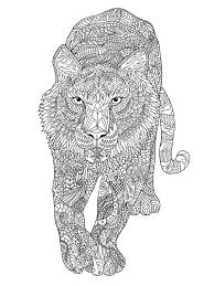 Shir khan ausmalbild animal riding ausmalbild tiger shirkan shir khan und kaa mogli hält shir khan eine fackel entgegen Exclusive Malvorlagen Indianer Zum Ausdrucken Xl 46