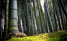 Download the perfect high res background pictures. 40 Beautiful And High Resolution Wallpapers