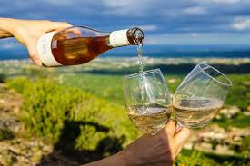 Winemakers either leave the particles to sink naturally to the bottom of the wine or use. 12 Best Vegan Wines For 2019 From France Germany And More