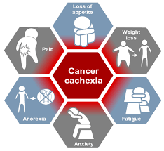 Image result for Cachexia in Cancer