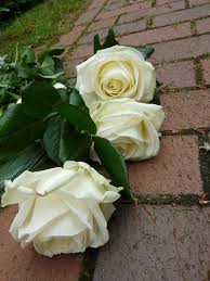 We did not find results for: Wausau Area Obituaries Oct 2 Wausau Pilot Review