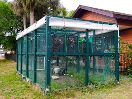 The Winterization Of My Goc Chameleon Cage Reptile Cage Reptile Enclosure