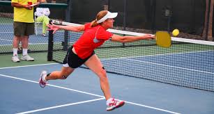 Image result for pickleball pictures
