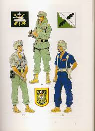 Tercios Saharianos Y Grupos Ligeros 1960 75 93 Comandante En Uniforme De Campana Y Maniobras 94 Leg La Legion Espanola Tercios Espanoles Uniformes Militares